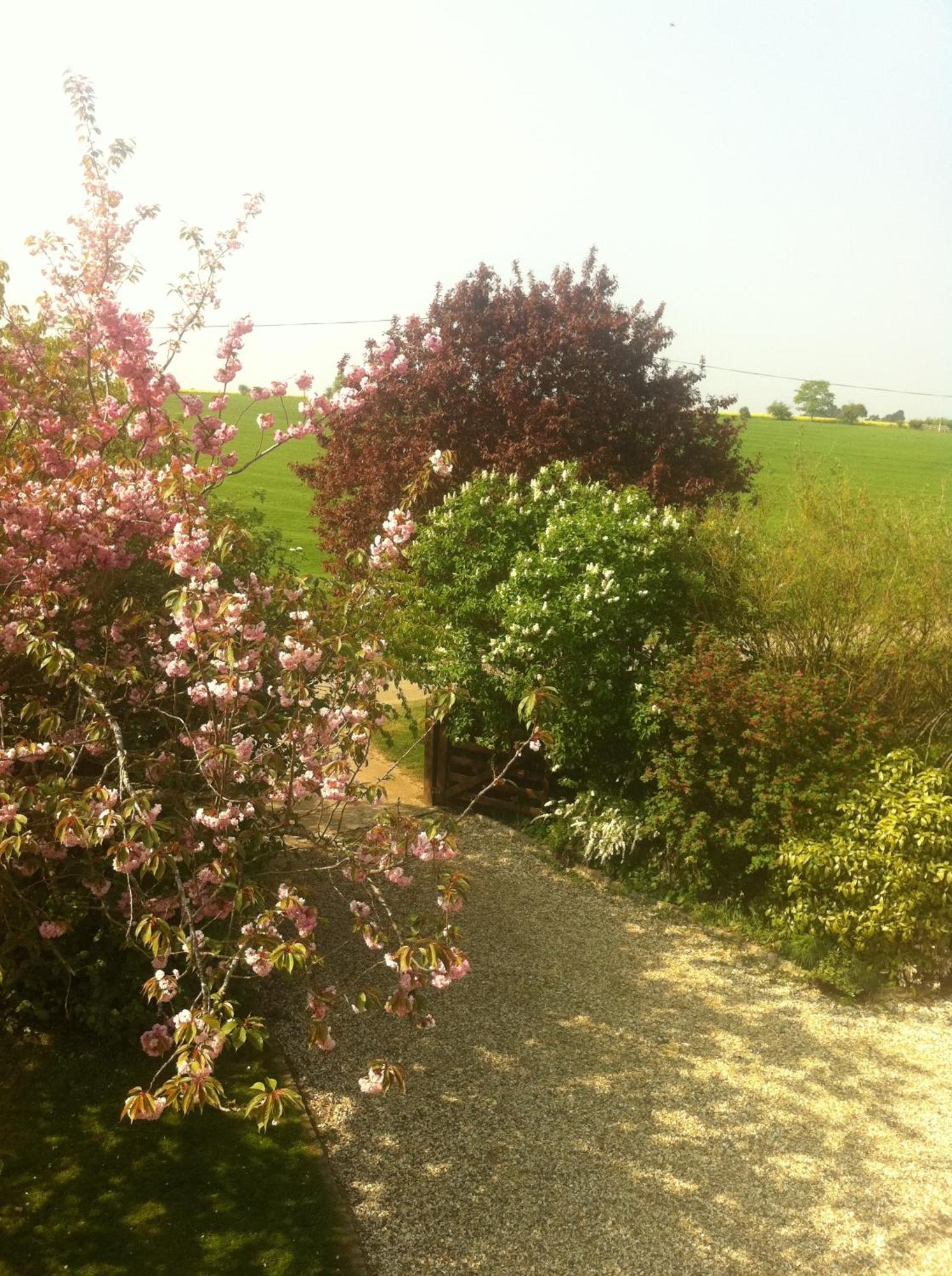 Whitchurch Farm Guesthouse Alderminster Bagian luar foto